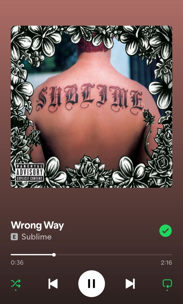 a screenshot of the song wrong way by sublime playing on spotify