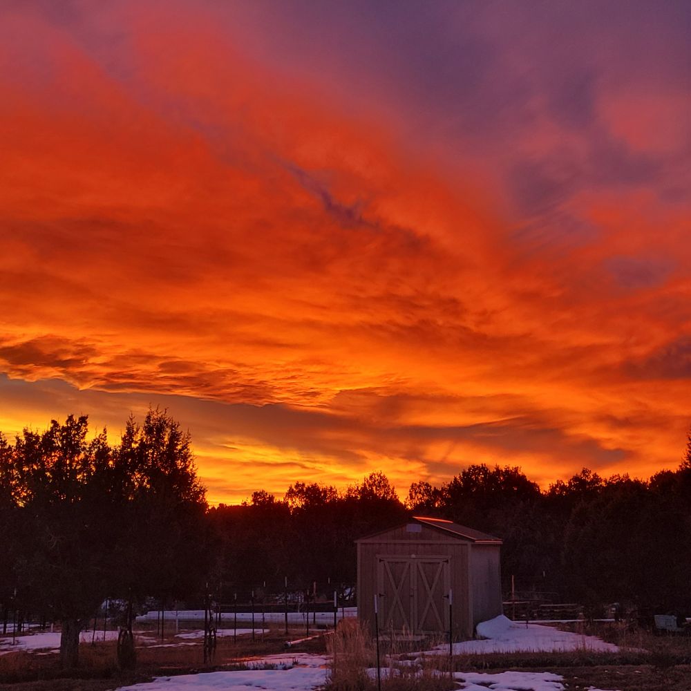 A winter sunset.  We notice the Ravens in larger numbers then as they settle in the cedar trees.
