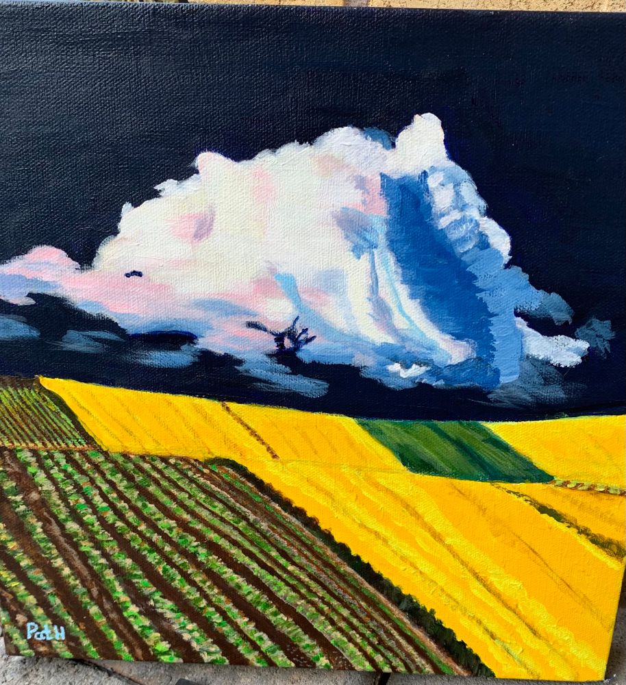 Prairie Storm, acrylic on canvas, 2025. Can you see the cat in the cloud? 