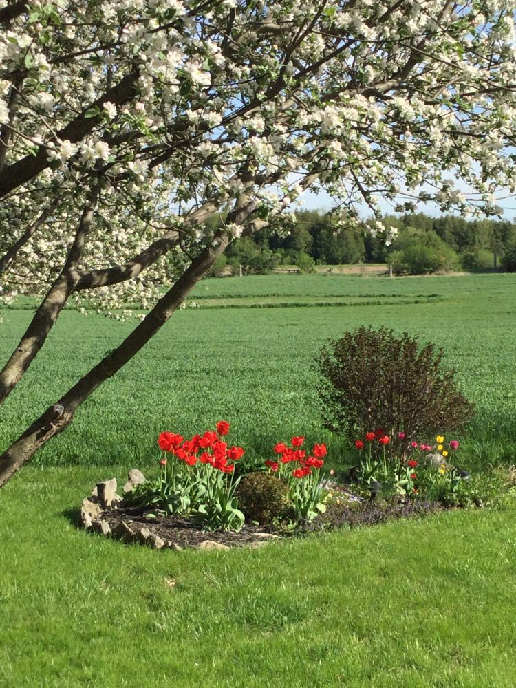 A spring day in the Kawarthas, 2017. #Marchintolandscapes day 29. #colourful