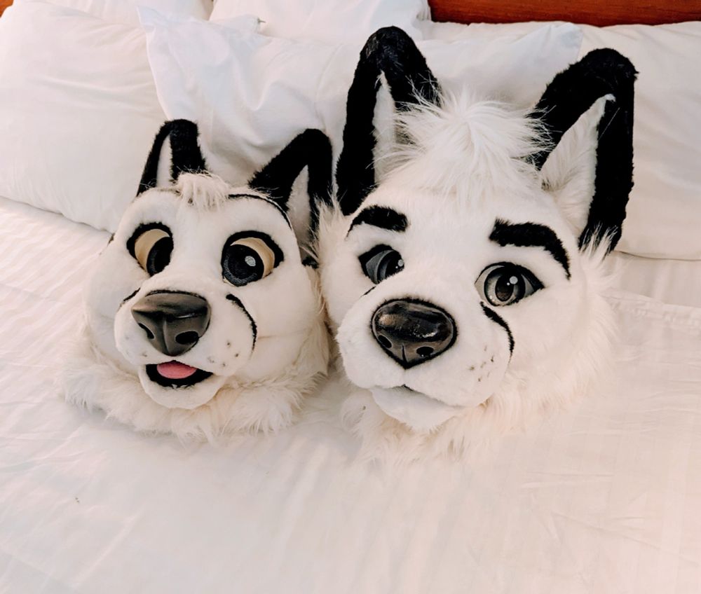My Arctic fox fursuit heads
