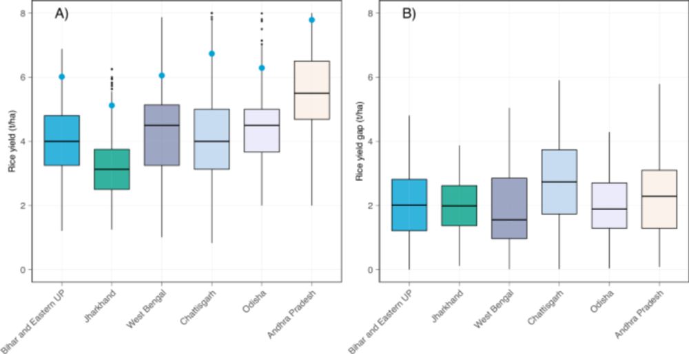 Context-dependent agricultural intensification pathways to increase rice production in India - Nature Communications