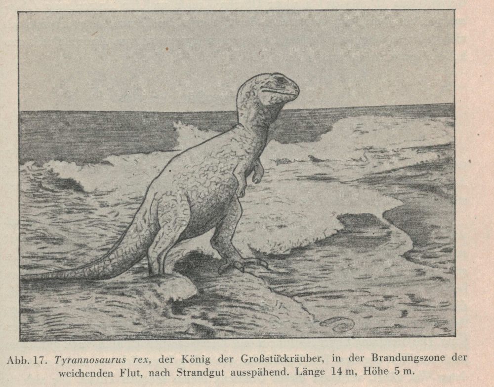 A lone Tyrannosaurus standing in the surf of the retreating tide