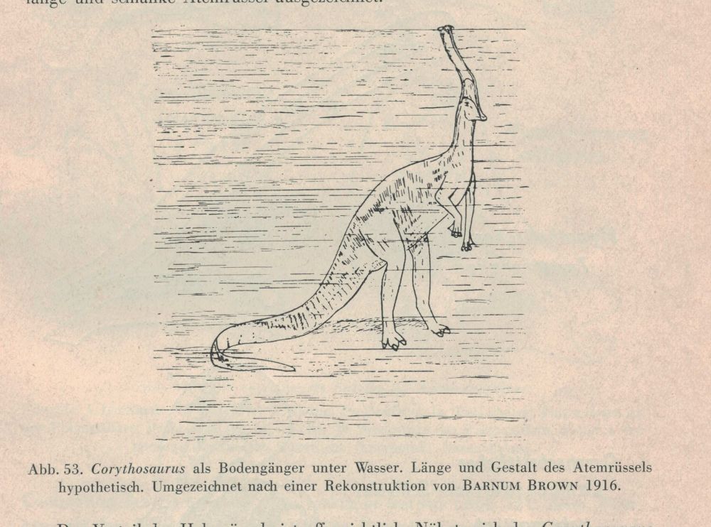 Corythosaurus, reconstructed with a fleshy breathing-proboscis extending from its headcrest