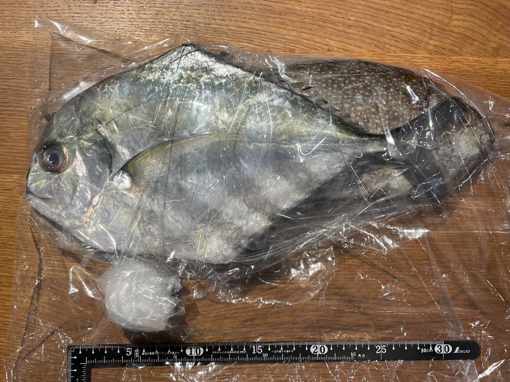 2匹の魚が透明のビニール袋に入っている。