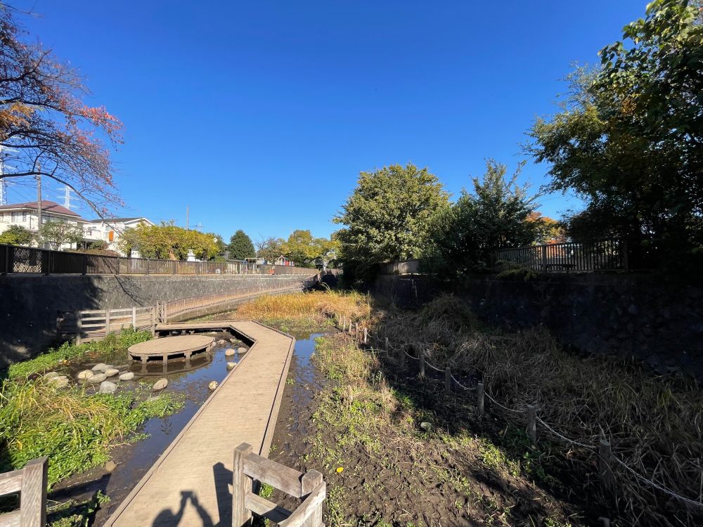 泥っぽい湿地。湿生植物の群落があり、観察用の木道がつけられている。