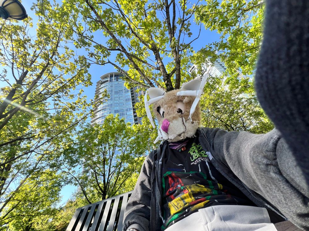 A selfie taken below the green trees