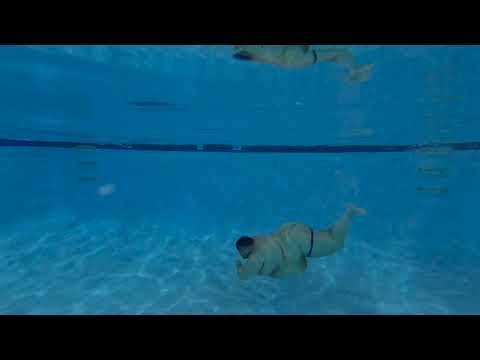 BigFattyBC or a Whale!?