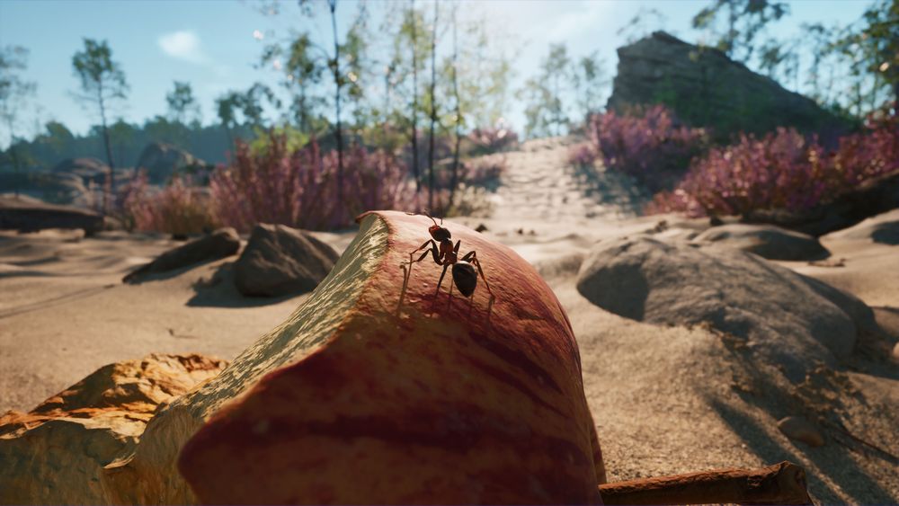 リアルフォトな世界でアリ界の救世主となって冒険する。RTS「蟻の帝国-Empire of the Ants」，PS5向けに12月12日発売