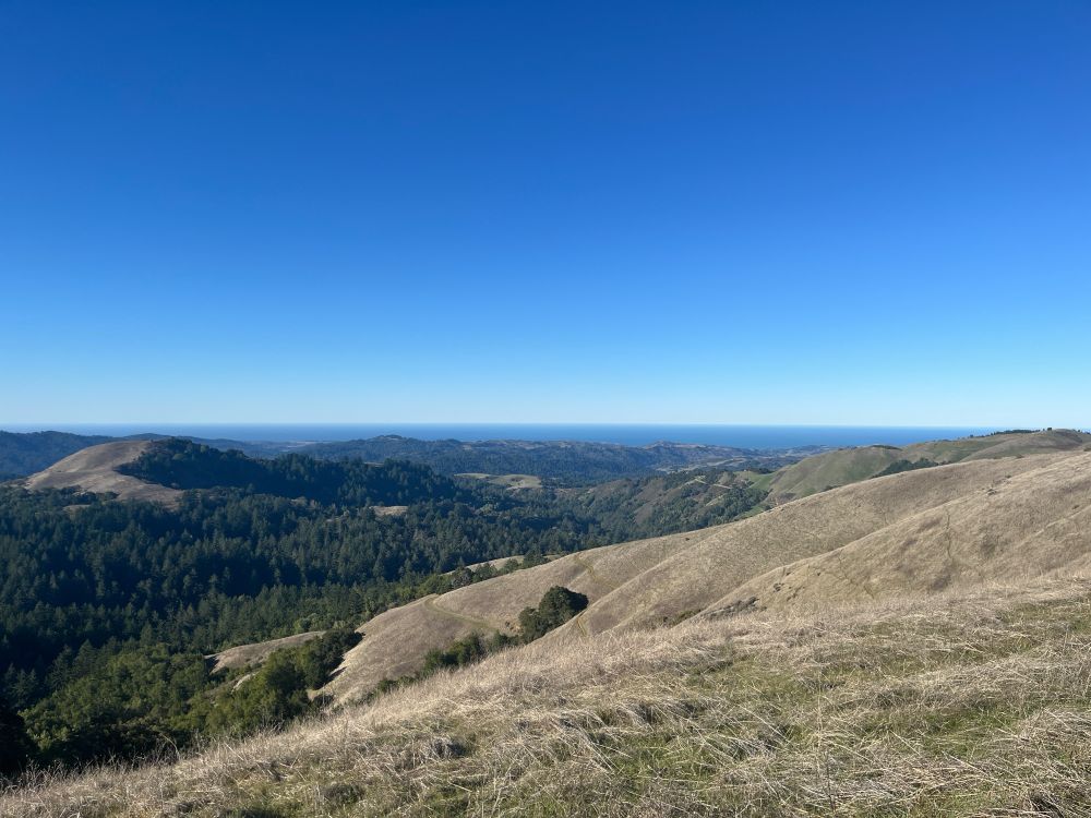 View of Pacific Ocean and rolling hills from ridge of Santa Cruz mountains 