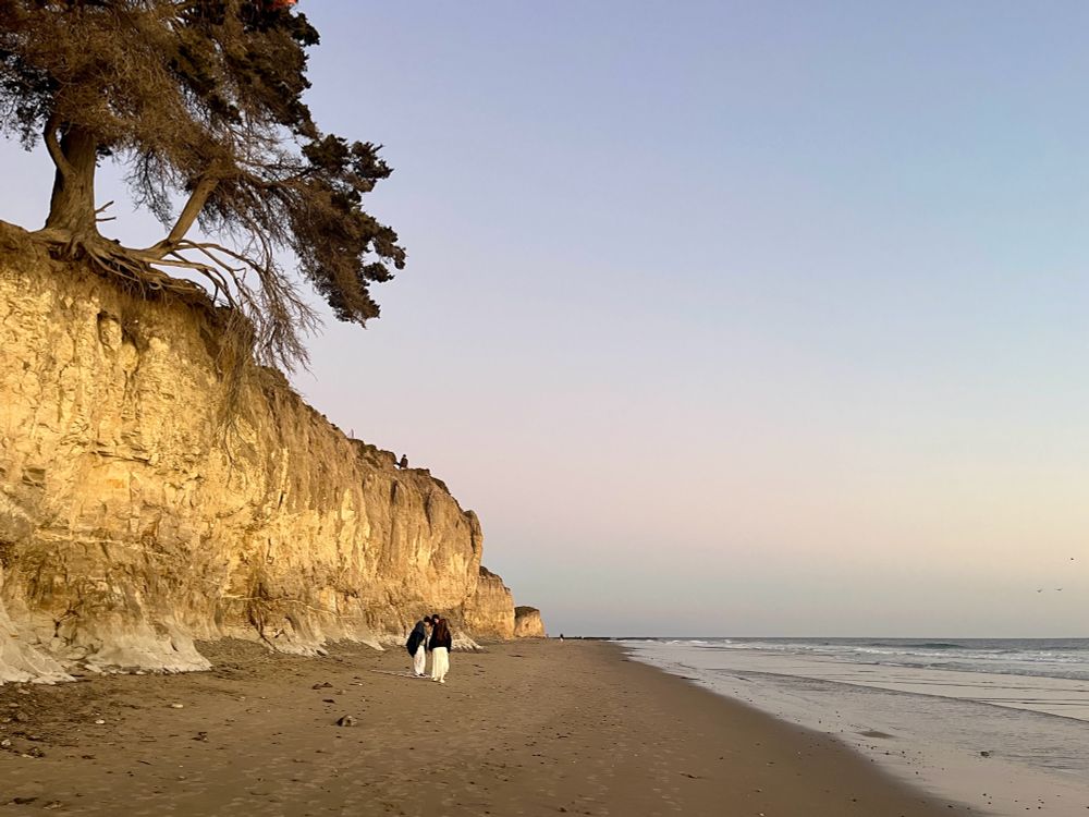 Beach and tree atop a bluff, clear sky