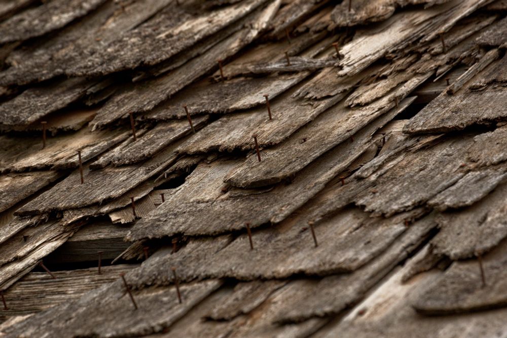 A close up photo of rusted nails sticking out of some rooftop shingles 