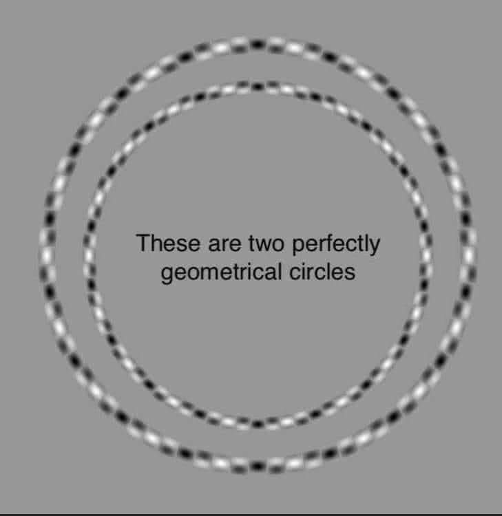 Two concentric circles with a dashed pattern are displayed on a gray background, giving the illusion that they break and warp. In the center, text reads: 'These are two perfectly geometrical circles.'

