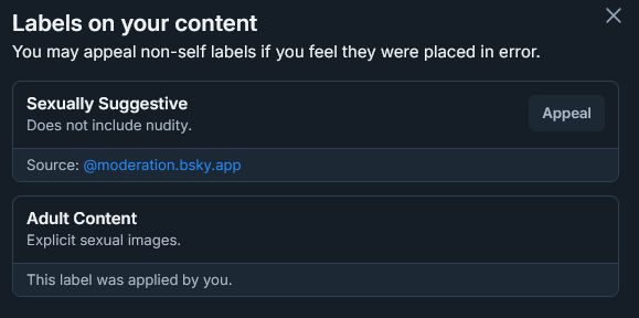 A screencap showing that bluesky's auto mod has applied a sexually suggestive (does not contain nudity) label to my previous post.
