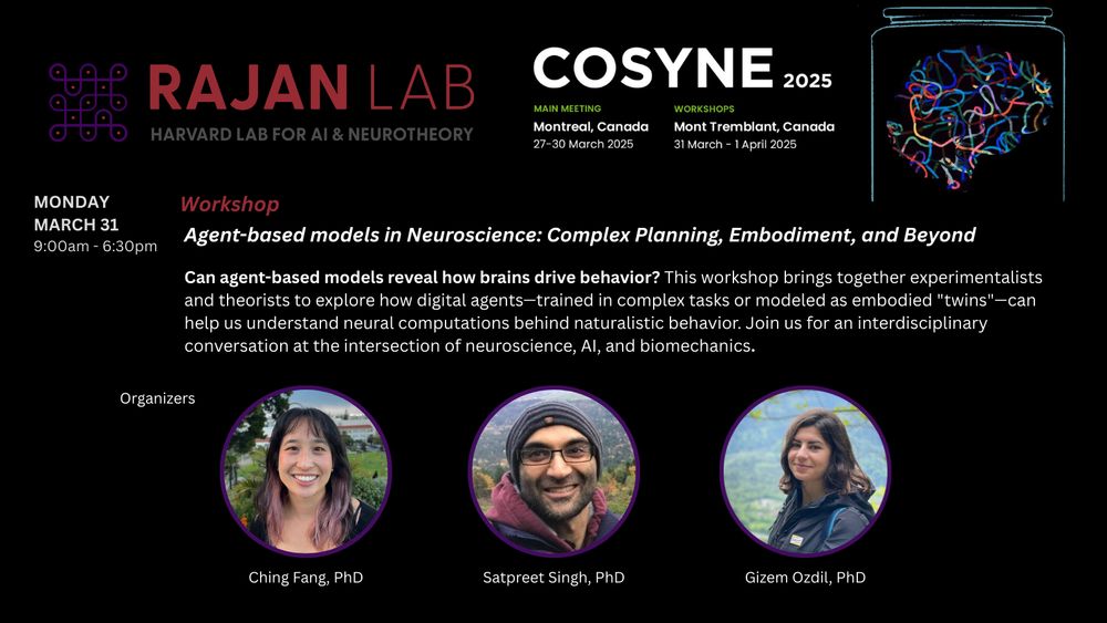 COSYNE 2025 workshop information for the Rajan Lab.
Monday, March 31, 9:00am-6:30pm features a Workshop titled 'Agent-based models in Neuroscience: Complex Planning, Embodiment, and Beyond'. The workshop explores digital agents and neural computations behind naturalistic behavior, bringing together experimentalists and theorists at the intersection of neuroscience, AI, and biomechanics.
Names and headshots for the organizers (Ching Fang, PhD; Satpreet Singh, PhD; and Gizem Ozdil, PhD) are included