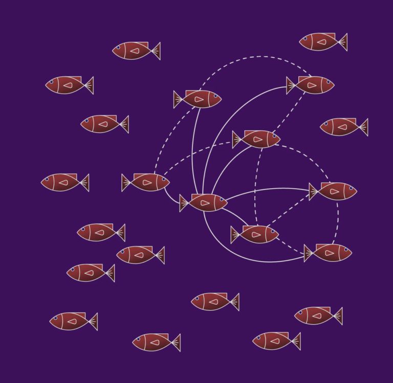 Digital illustration of a school of red fish with simple geometric features on a purple background. Some fish are connected by curved dashed and solid lines, suggesting interactions or relationships between them. 