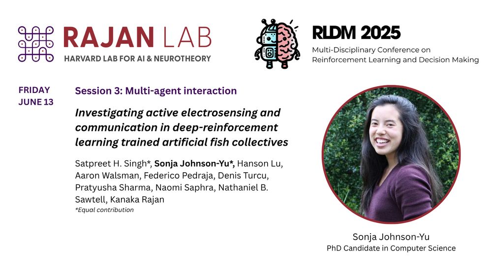Rajan Lab presentation at RLDM 2025, Investigating active electrosensing and communication in deep-reinforcement learning trained artificial fish collectives