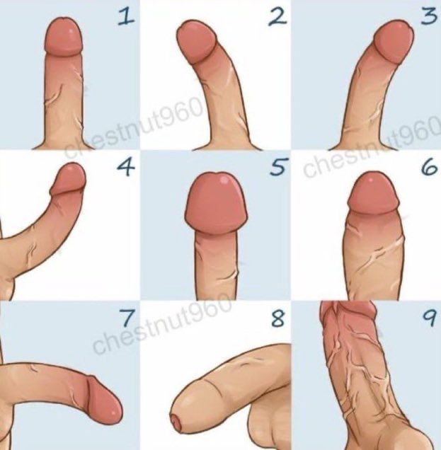 Chart numbered 1-9 showing various cocks