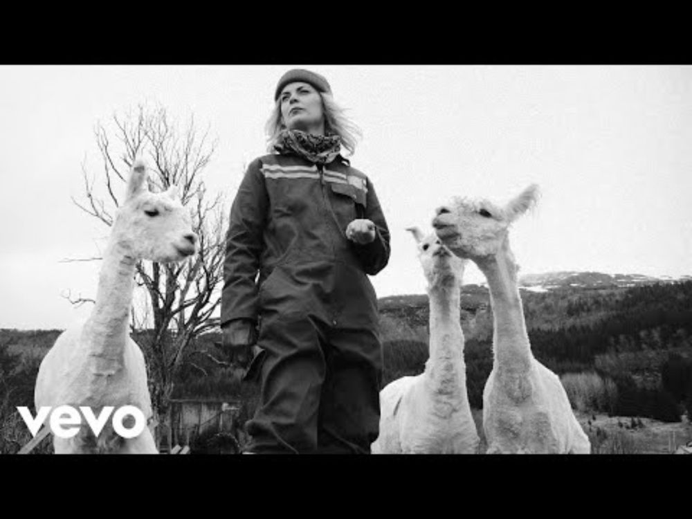 Ida Maria - Dirty Money (Official Video)