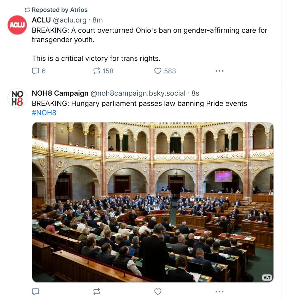 An image of writer's BlueSky feed with two posts. In the upper post a post stating that courts have overturned Ohio's ban on gender affirming surgery. In the lower post Hungarian parliaments passes a law banning pride events. 