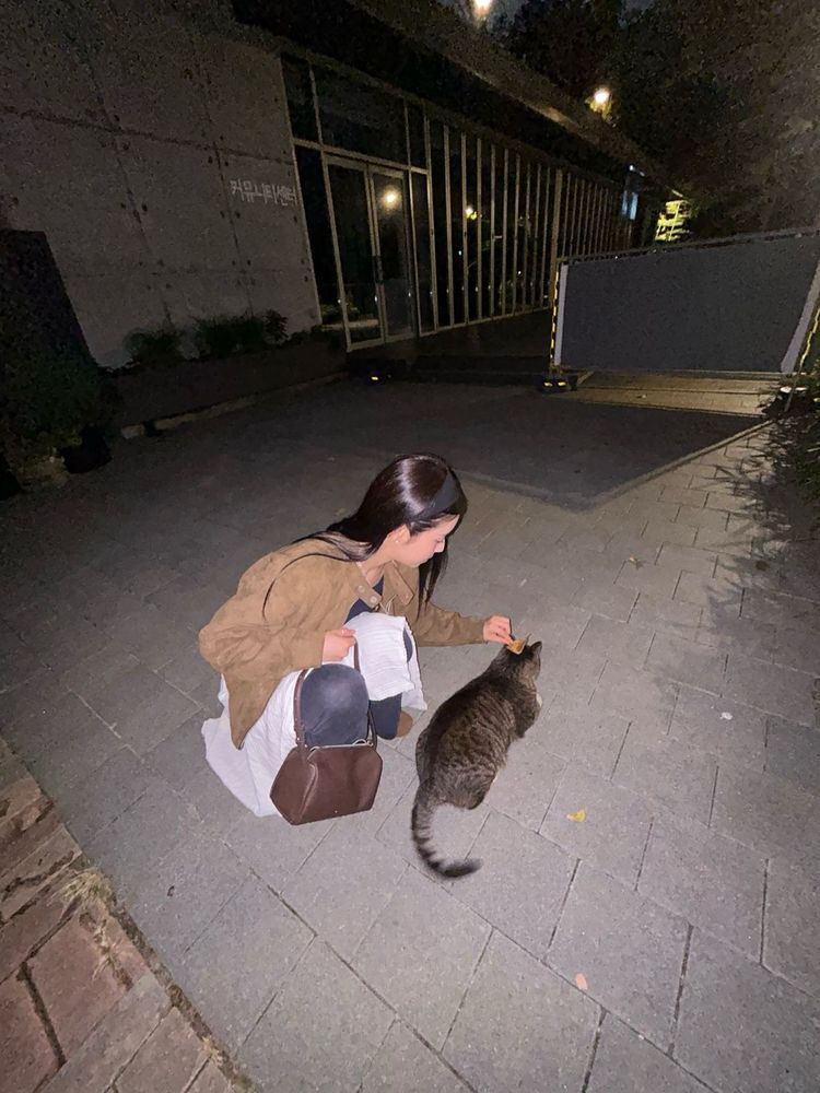 Photo 2 of kyujin crouching by a brown cat in the dark lit up by flash, she is placing a leaf on the cat's head