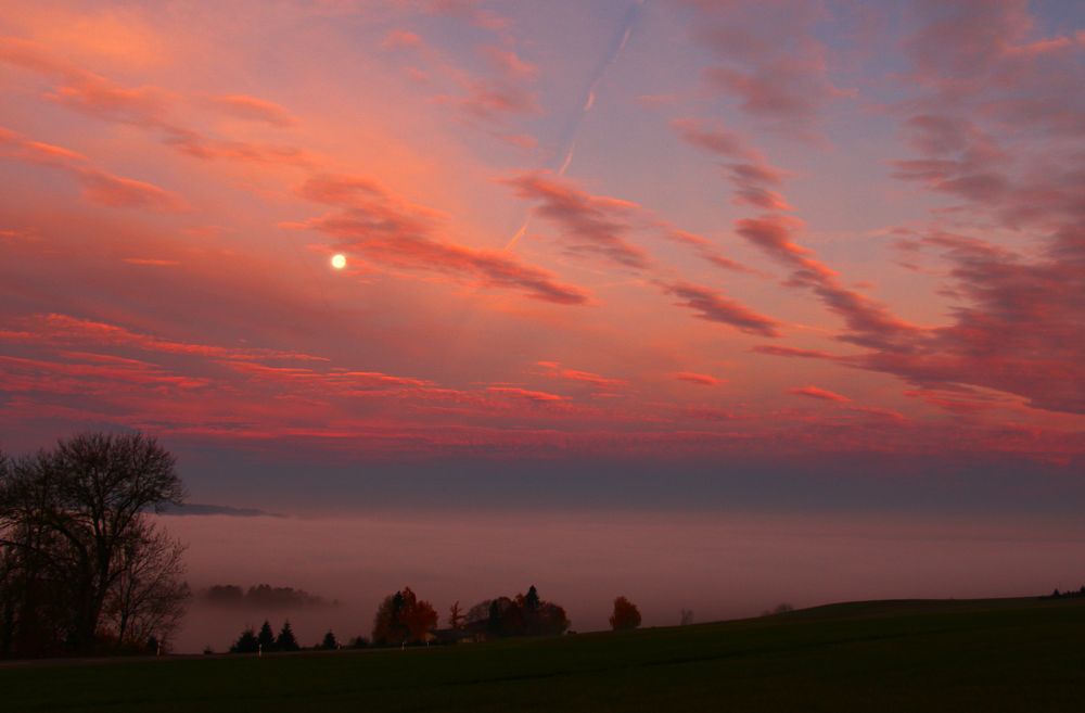 A valley full of fog while there are black silouettes of trees and hills in the foreground. A cloudy sky with a light moon in red and soft pink tones.
