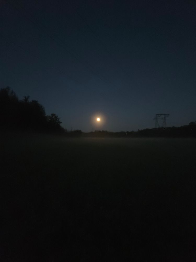 Moon, shines on s field. Silouettes of trees left on the picture.
