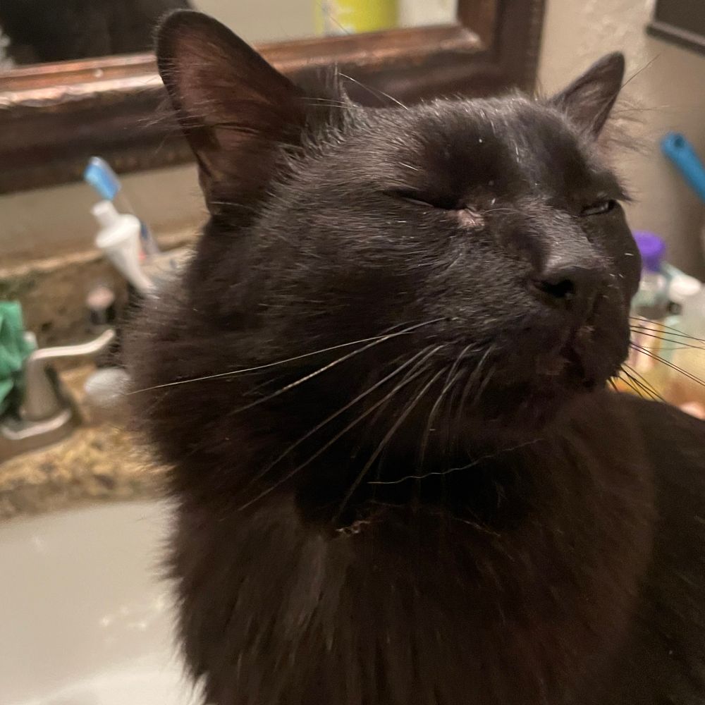 When I take my hand away, the lingering bliss is enough to keep his eyes closed...