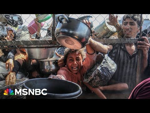 'Images matter': Former CIA officer says global outrage forced Israel’s aid pause