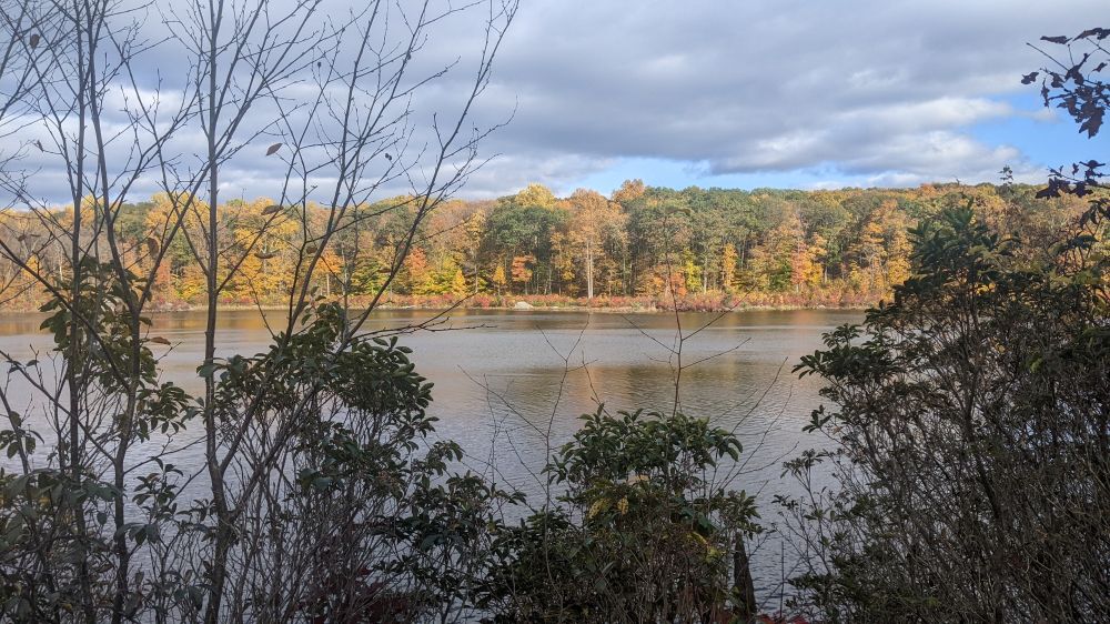 Lake in foreground with trees in full Fall colotatio n behind