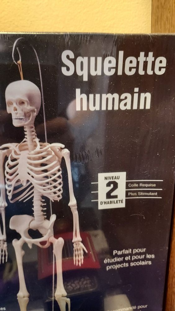 A model skeleton kit but it's maybe in French and says squelette humain
