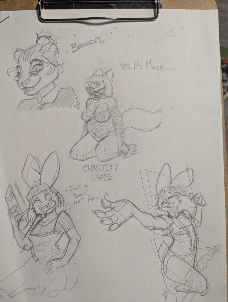 A series of sketches including two of a bunny,one of a fox and one of an older puma. 