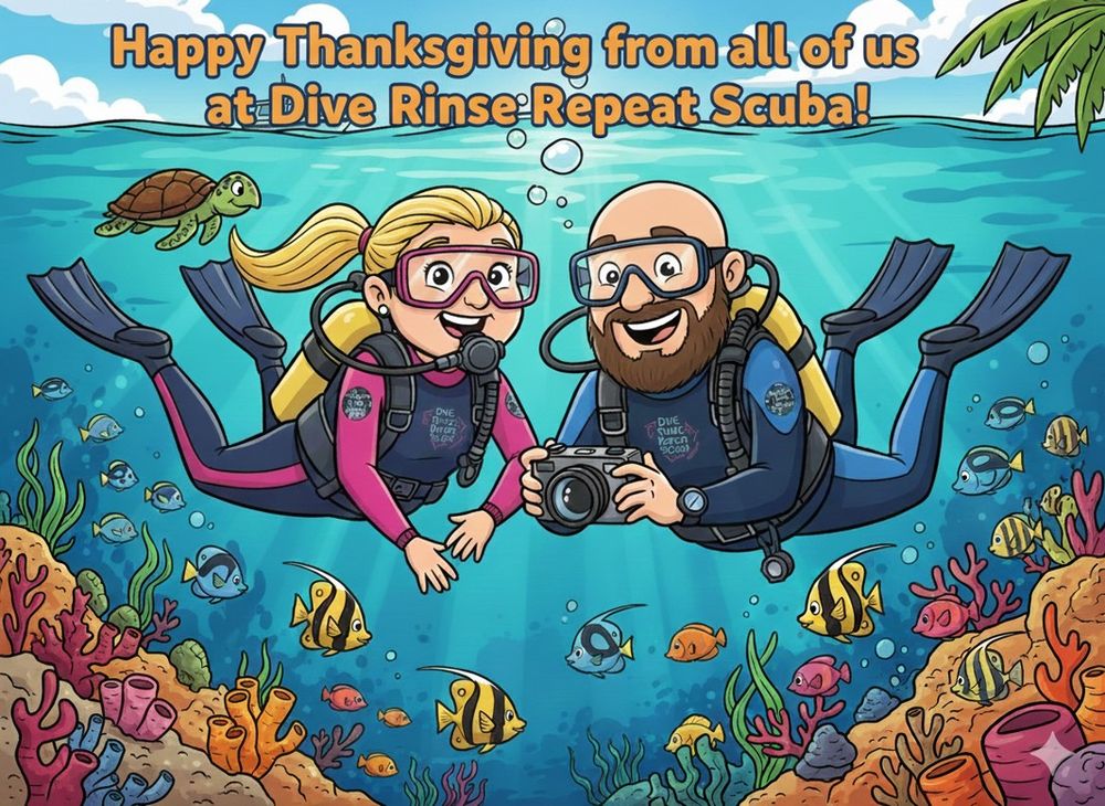 Cartoon image of Lisa and Duane scuba diving with the message "Happy Thanksgiving from all of use at Dive Rinse Repeat Scuba!"