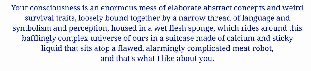 "Your consciousness is an enormous mess of elaborate abstract concepts and weird survival traits, loosely bound together by a narrow thread of language and symbolism and perception, housed in a wet flesh sponge, which rides around his bafflingly complex universe of ours in a suitcase made of calcium and sticky liquid that sits atop a flawed, alarmingly complicated meat robot, and that's what I like about you."