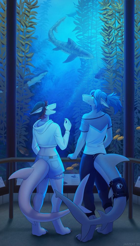 Two anthropomorphic sharks, Keea on the left, Cynra on the right, watching the marine life swim around the Monterey Bay Aquarium's kelp forest exhibit.