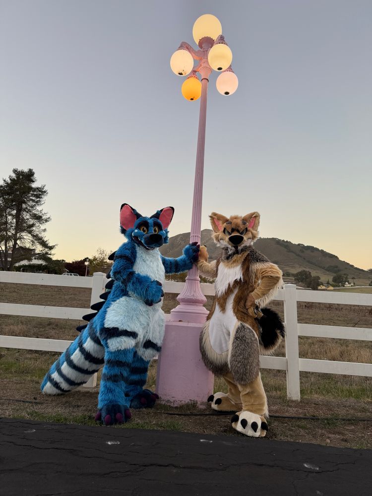 A Jackodile and a Shiba Inu’s paws are touching on the pink lamppost. 