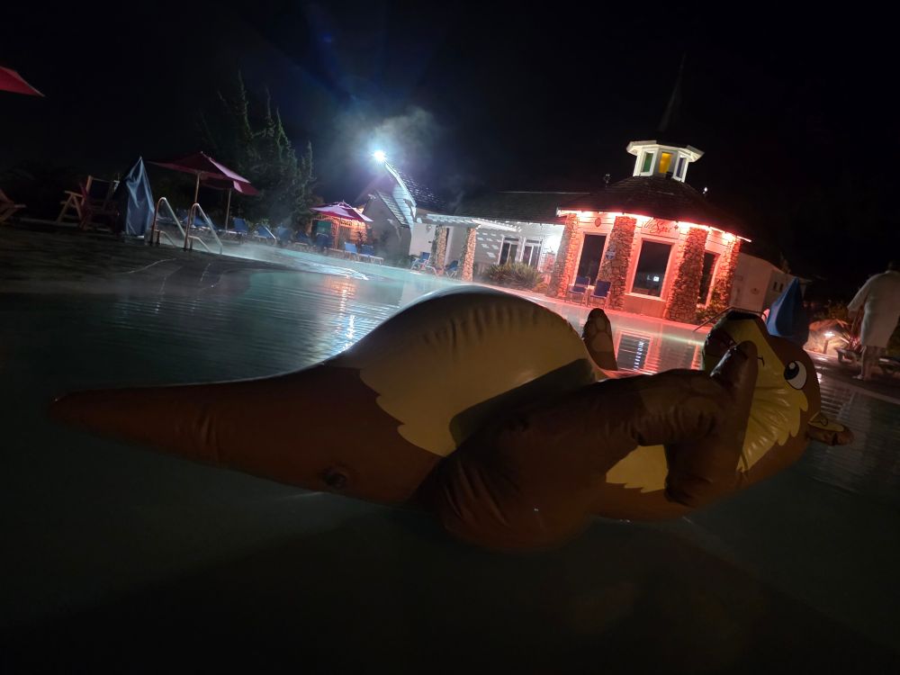 An inflatable otter floats at the edge of a pool at night. 