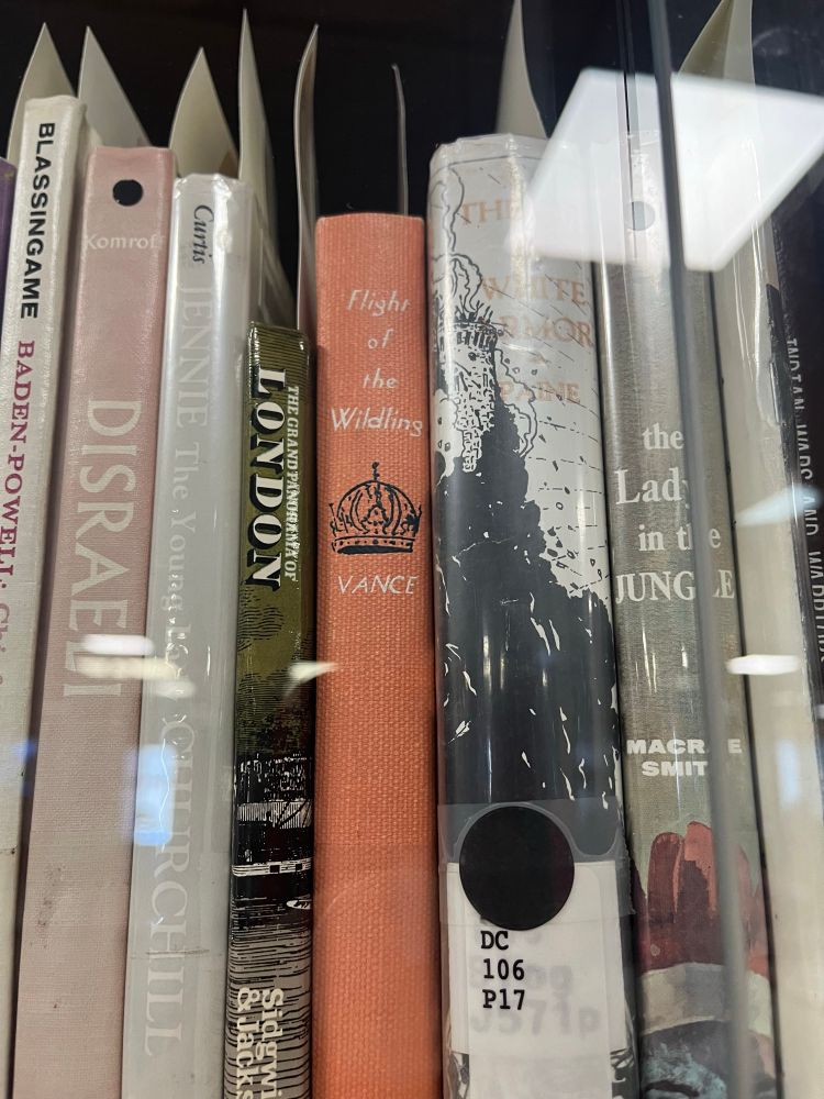A close-up of a shelf containing a mix of modern and vintage books. Prominent titles include “Flight of the Wildling” by Vance, “The White War Horse,” and a book about London, with visible library classification stickers on some spines.