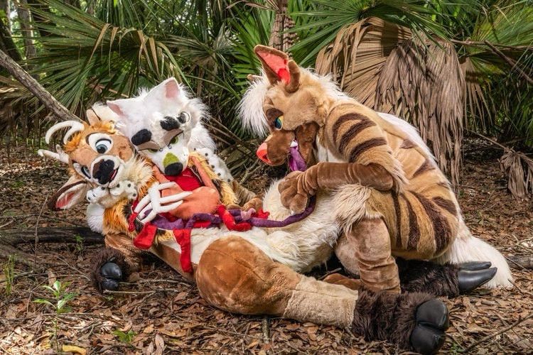 deer fursuit being ripped to shreds by wild dog fursuits