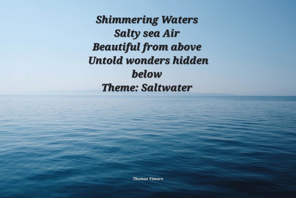 A calm ocean