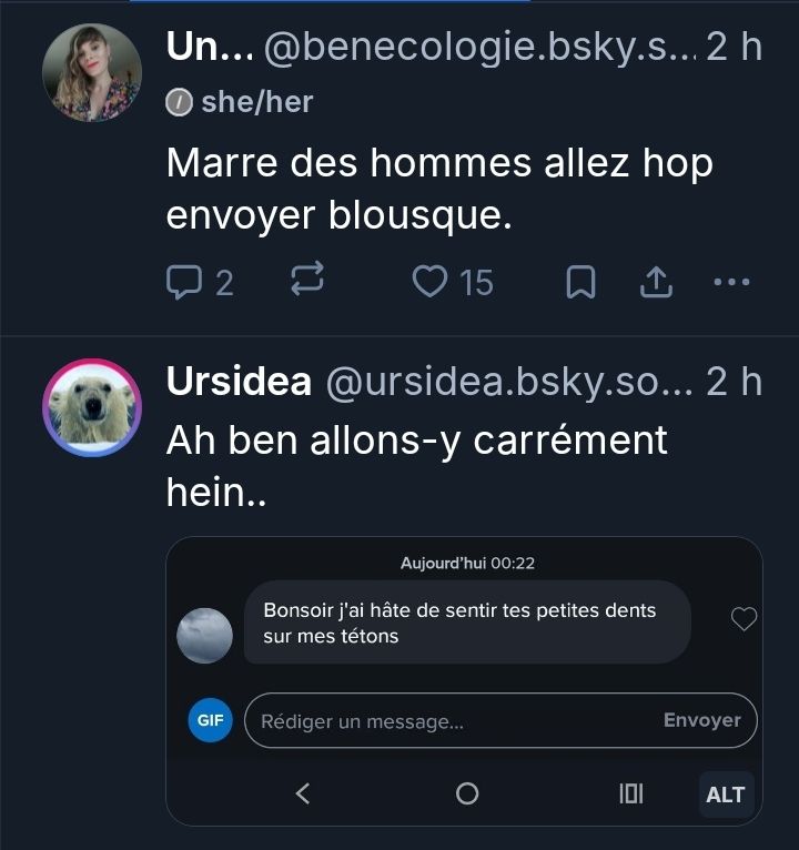 Screen de ce post et du suivant dans ma TL qui est d'ursidae partageant une  capture d'ecran d'un mssage sur une appli de rencontre: "bonsoir, j'ai hâte de sentir tes petites dents sur mes tétons"