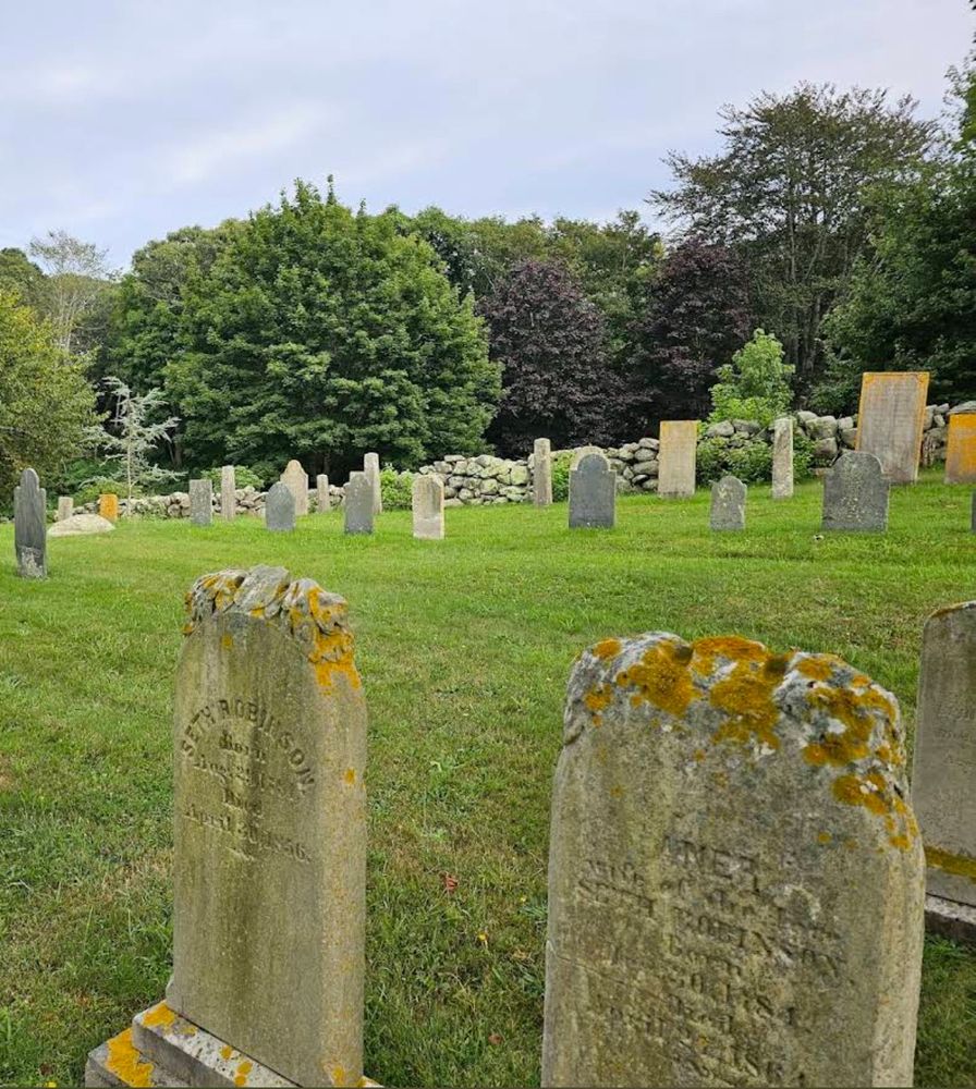 Headstones in a cemetery. The nearer ones appear to have an orange lichen topping. 