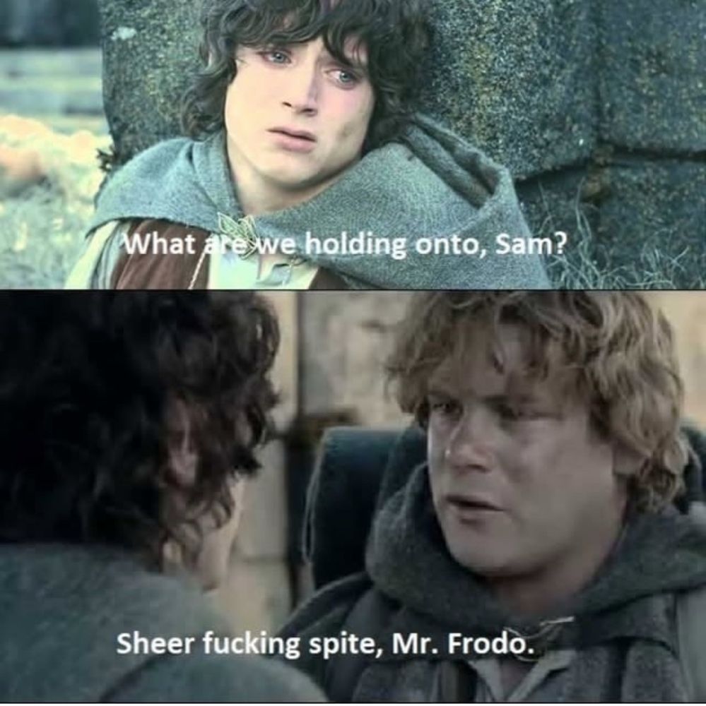 A meme

In the top panel, an exhausted Frodo asks “What are we holding onto, Sam?”

In the bottom panel, Sam, looking angry and determined, replies “Sheer fucking spite, Mr. Frodo.”