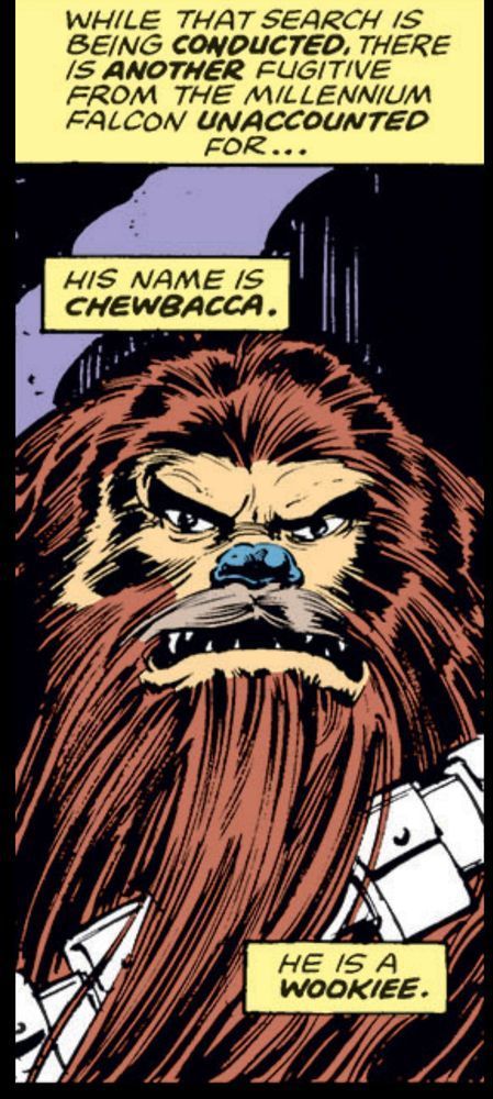 Head and torso shot of an angry looking Chewbacca looking more like a lion with an ammunition belt across his chest. Narration: ”While that search is being CONDUCTED, there is ANOTHER fugitive from the Millennium Falcon UNACCOUNTED for…his name is CHEWBACCA. He is a WOOKIE.“