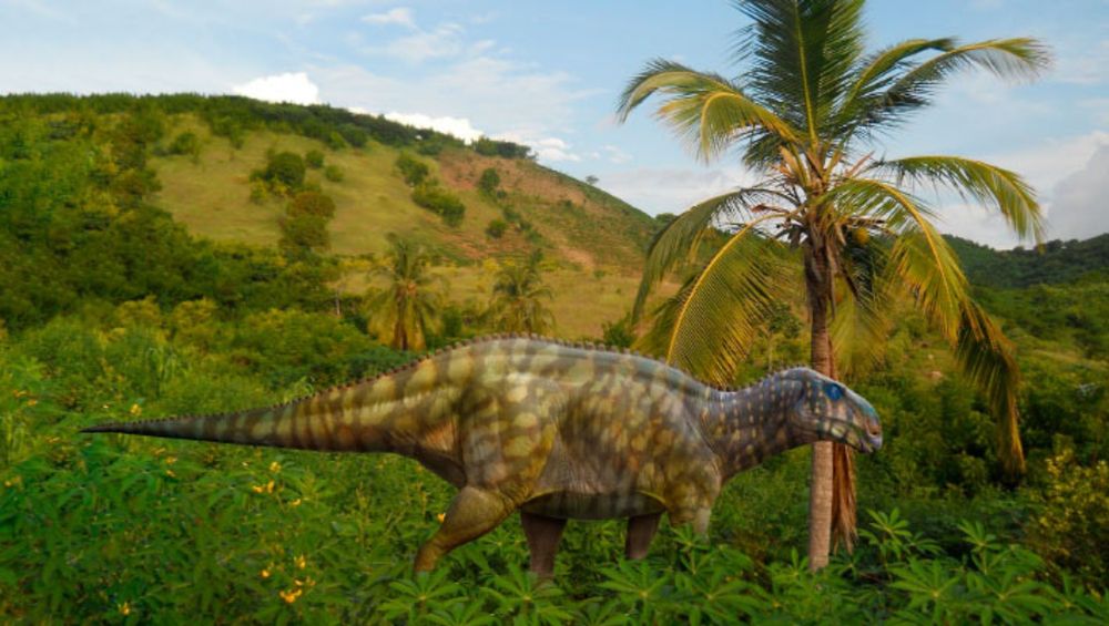 New Species of Plant-Eating Dinosaur Discovered | Sci.News