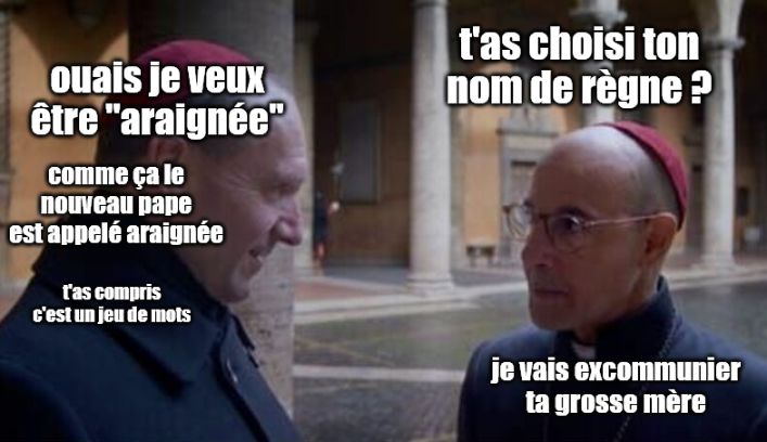Bellini et Lawrence du film Conclave discutent. Bellini demande à Lawrence :
"t'as choisi ton nom de règne ?"
"ouais je veux être "araignée" comme ça le nouveau pape est appelé araignée t'as compris c'est un jeu de mots"
"je vais excommunier ta grosse mère"