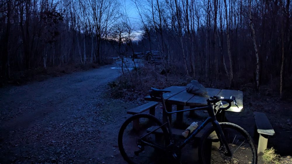 A gravel bike parked against a bench with front lights beaming. In the background is a muddy track in dawn's early light, with bare trees either side of it and apparent frost.