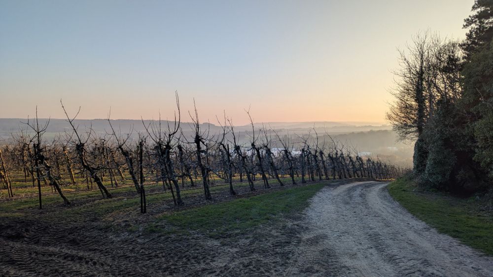 A gravel path slopes away to the right. On the left is an orchard. In the distance is a misty valley as a low, setting sun illuminates it.