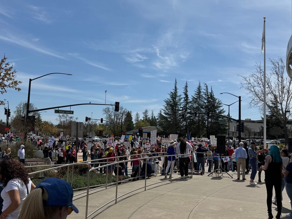 Picture of a large crowd with many anti-trump & hands off signs under a blue sky.