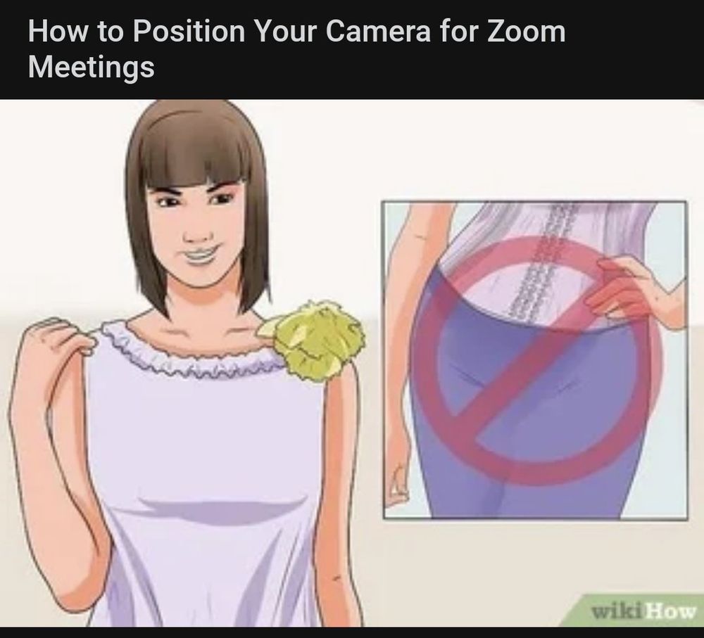 A wikiHow drawing of a woman from the waist up next to a picture of the woman's pelvic area crossed out with a red slash.

The caption is:
How to Position Your Camera for Zoom Meetings